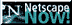 Netscape 4.0